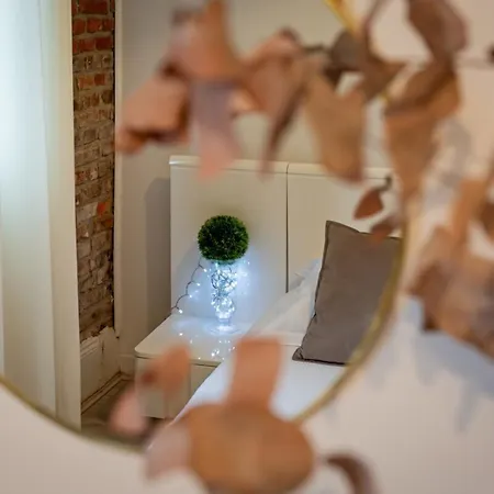 Flaubert Avec Parking Ideal Au Coeur Du Centre-ville *