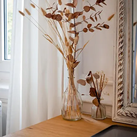 Flaubert Avec Parking Idéal Au Cœur Du Centre-ville Ruan