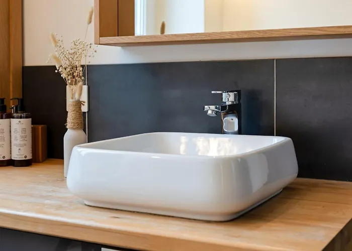 Flaubert Avec Parking Idéal Au Cœur Du Centre-ville